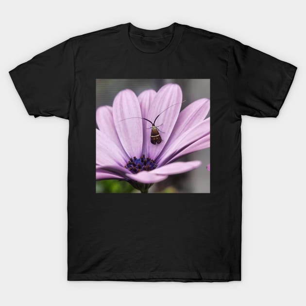 insect violet flower T-Shirt by Noamdelf06